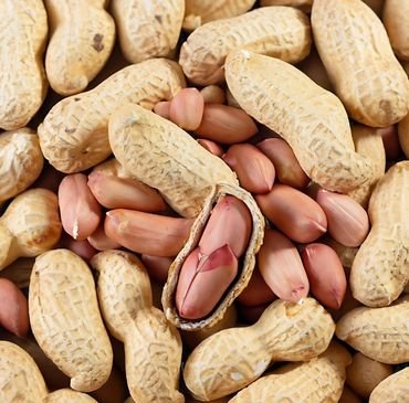 Peanuts