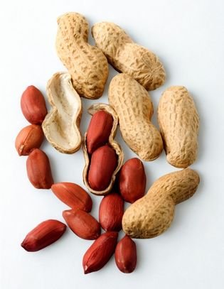 sub-banner1-V&M_Haul